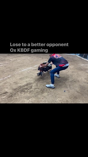 Hgg Gamefarm on Reels