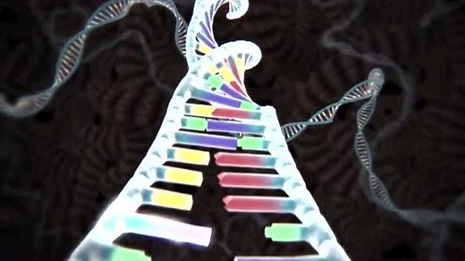 CRISPR-Cas9基因编辑的原理（张锋参与制作）_高清1080P在线观看平台_腾讯视频