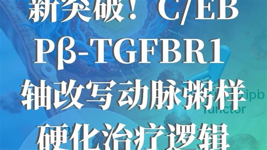 C/EBPβ-TGFBR1轴改写动脉粥样硬化治疗逻辑