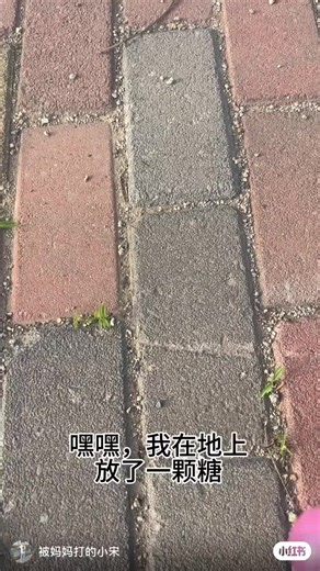 Power DG (@power.dg)’s videos with 原声 - Power DG