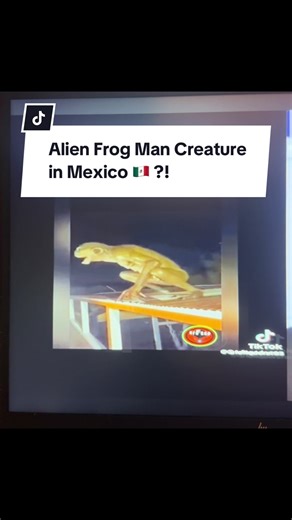 Alien Frog Man in Mexico 🫥 #youtube #tiktok #cryptid #shorts #fyp
