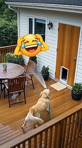 736K views · 1.9K reactions | All clean with this AI tool 藍 | No Way | Facebook