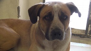 24K views · 431 reactions | PTS - moved to RIP Album on 07/19 "for...