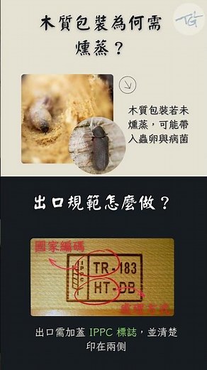 棧板為什麼需要燻蒸？出口時該選哪一種材質？｜ #logistics #物流