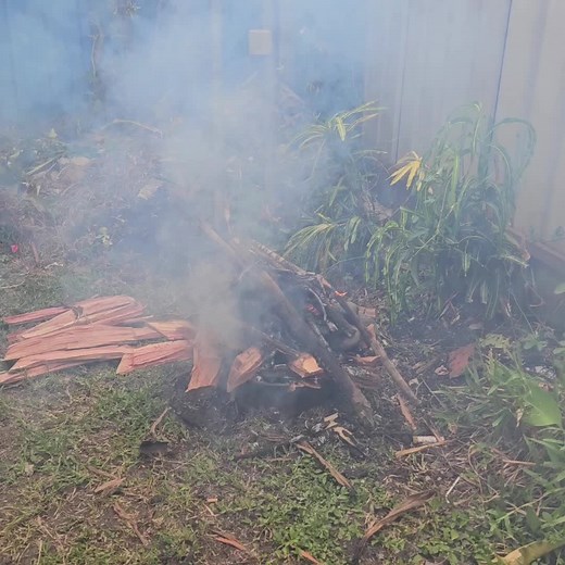 Delicious Traditional Mumu Recipe from Papua New Guinea