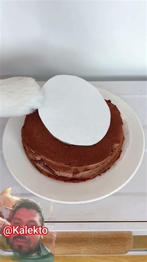 #cats #cat #diy #ytshortsusa #ytshorts #pets #meow #catlife #funny #asmrshorts #asmr