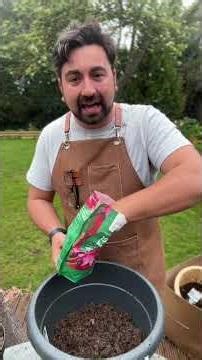 How to grow an Acer in a pot #gardeningtips