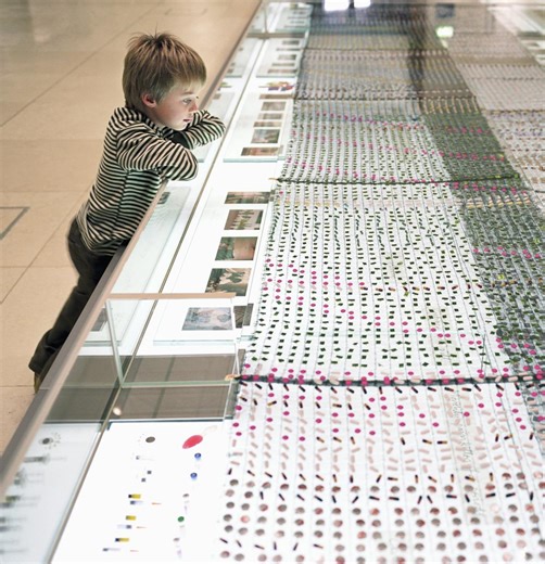 Museums have tons of data, and AI could make it more accessible − but standardizing and organizing it across fields won’t be easy – LLRX