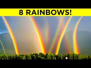 When Nature’s Rarest Events Were Caught on Camera