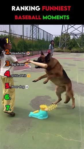 Ranking The FUNNIEST Baseball Moments ⚾️😂 #baseball #mlb #funny