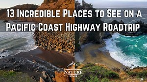 Pacific Coast Highway Road Trip: 13 Best Stops And Complete Visitor Guide