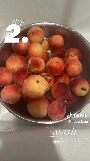 Delicious Peach Pie Season at Big Titicus Farms