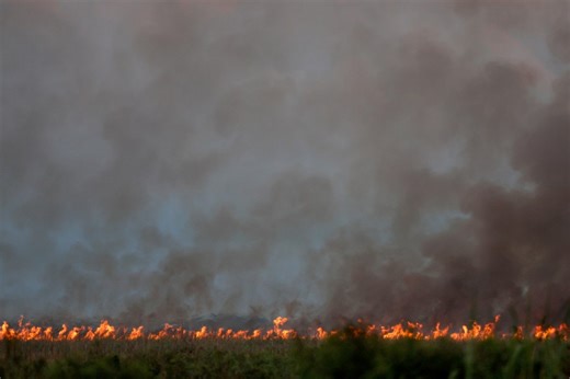 Florida agriculture official warns residents to prepare for wildfire risk