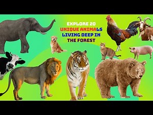 20 Wild Animals in the Forest That Will Amaze You