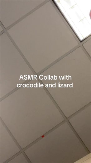 Enjoy these tingly sounds #asmr #asmrfood #asmrvideo #asmrtiktoks #collab #tinglyasmr #tinglysounds #fypシ #fyp #fypage #fypシ゚viral #viraltiktok #viralvideo #viral #mouthsounds #whispers #relaxing #tingles #lowqualityasmr