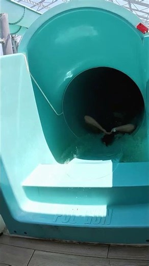 Cosmic Rush Water Slide at Dolusu Water Park, Turkey- Kemer