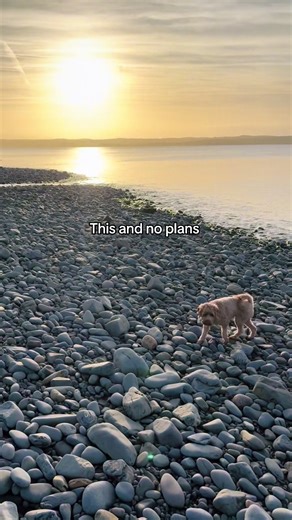 Spring has Sprung baby! #weekendvibe #spring #dog #dogtok