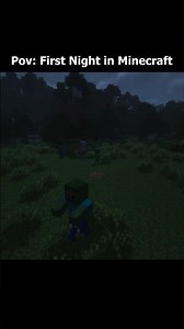 First Night In Minecraft #minecraft