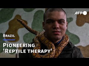 Snakes as therapy animals: reptiles help heal in Brazil | AFP