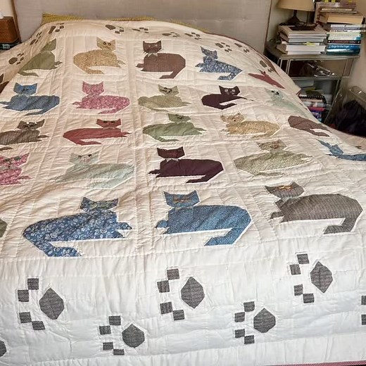 This quilt was pretty cute when I found it, but none of the 30 cats had faces. So after digging some buttons out, embroidery thread, and some hours of time, they now each have individual faces and personalities. Large king size quilt with cat paws print motif all around the edge.. 200$ | Moodswing