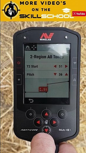 Garys Minelab Manticore hybrid 2 tone settings