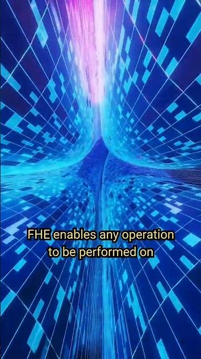 Fully Homomorphic Encryption (FHE)