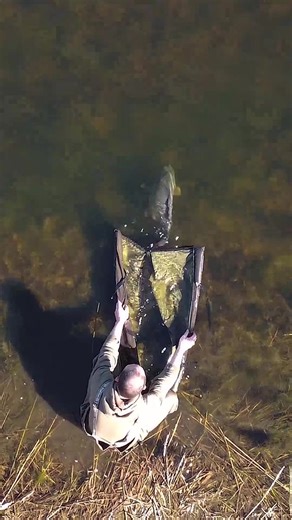 55 reactions · 13 comments | Aqua Ultralite 100 Bivvy Aquatexx EV® ...