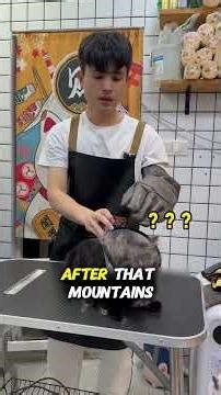 This angry black cat attacked everyone -- until a Groomer faced the Fight🐈‍⬛❤️