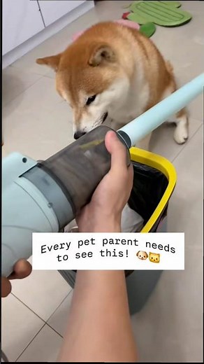 Best Vacuum for Dog & Cat Hair 🏡✨ #dog #petessentials #vacuumcleaner #shorts #dogsupplies #cat