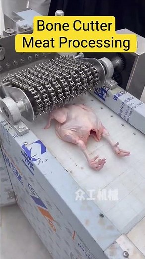 Automatic Bone Cutting Machine #BoneCutter #MeatProcessing #ButcherTools #KitchenEquipment