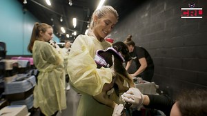 A new career path for Alexa Landestoy: Washington Capitals' doggo babysitter 🐾🤣 A visit to the Wolf Trap Animal Rescue is the first stop on #CapsRedLine! 🚨 #ALLCAPS 🔗: monsports.net/capsredline | Monumental Sports Network