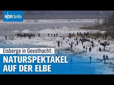 Frost-Spektakel an der Elbe: Eisberge bei Geesthacht sorgen für Besucheransturm | NDR Info