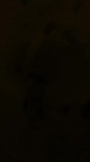 3.1K views · 127 reactions | Every day, police, military, and search...