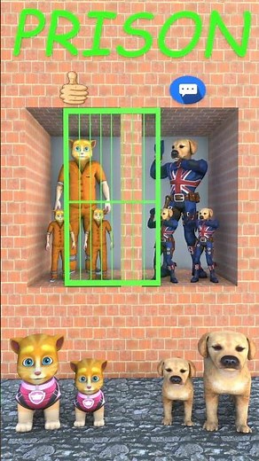 HOW DO YOU SEE US DANCE?#dog #cat #funny #shots