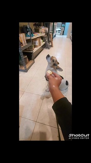 Look at him pretending to not want it while licking his lips 🤣 | Charles Ng