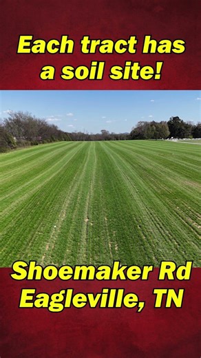 EAGLEVILLE LAND AUCTION – 22.69± Acres in 4 Estate Tracts!