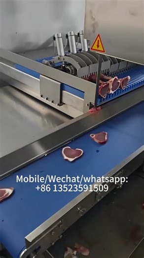 fully automatic bone chopper with saw blade