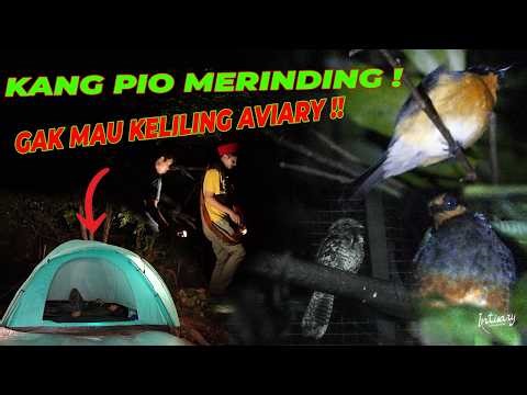 !NI PAR4H NIH.. ASIK INTIP BURUNG, EH KANG PIO GAK DIBANGUNIN SAHUR !! | INTISARY #11