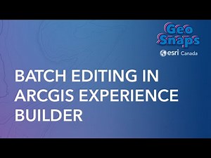 Batch Editing in ArcGIS Experience Builder