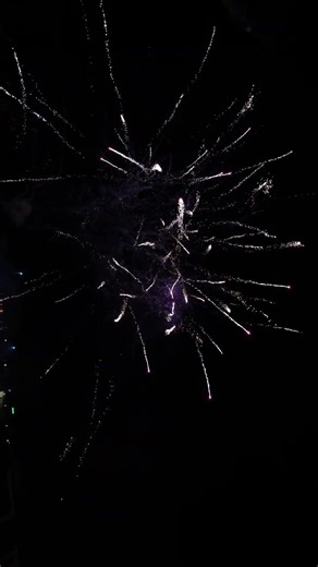 Rising Python Purple Single Row von Röder Feuerwerk