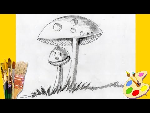 How to Draw Mushroom with pencil -| MCK Sharing