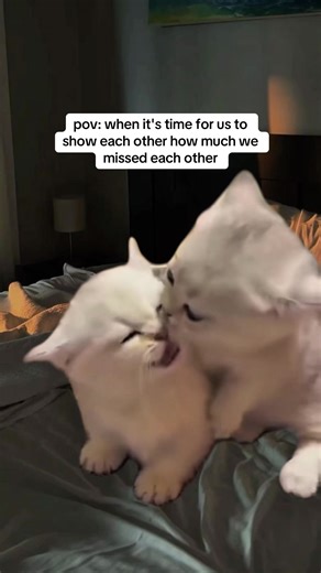 POV: Missing Each Other in a Relationship