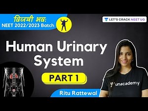 Phoenix 2.0: Biology Most Important Video for NEET 2025 | Udaan