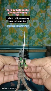 Tutorial For Gaffer Part 14 | Marnel Sarcita Flor