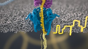 Adaptive sampling with Oxford Nanopore