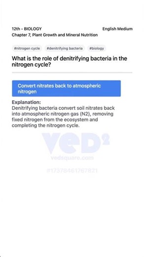 Role of Denitrifying Bacteria in Nitrogen Cycle Biology 12th