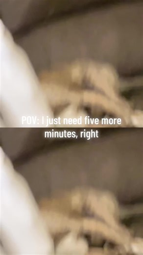 Wanda Wicker❌ (@wikiwicked)’s videos with original sound - Sesame Street