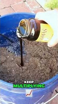 How to Make Compost Tea: The Ultimate Organic Fertilizer! 💩🌿