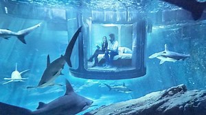 Underwater bedroom lets you sleep with sharks