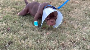 20K views · 744 reactions | Houston, we may have a problem! Poor...